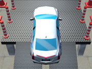 حالات الأسماك